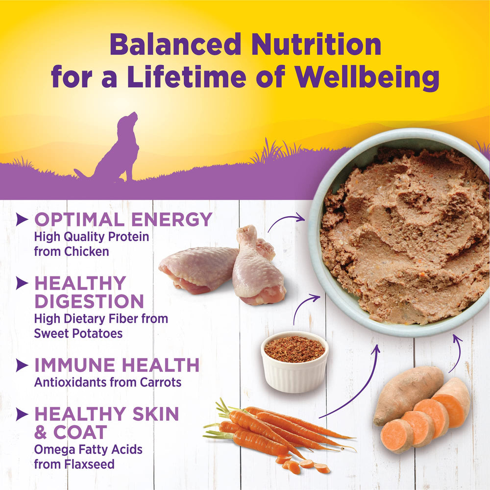 Wellness Complete Health lata sin maíz trigo soja, ingredientes premium sin granos