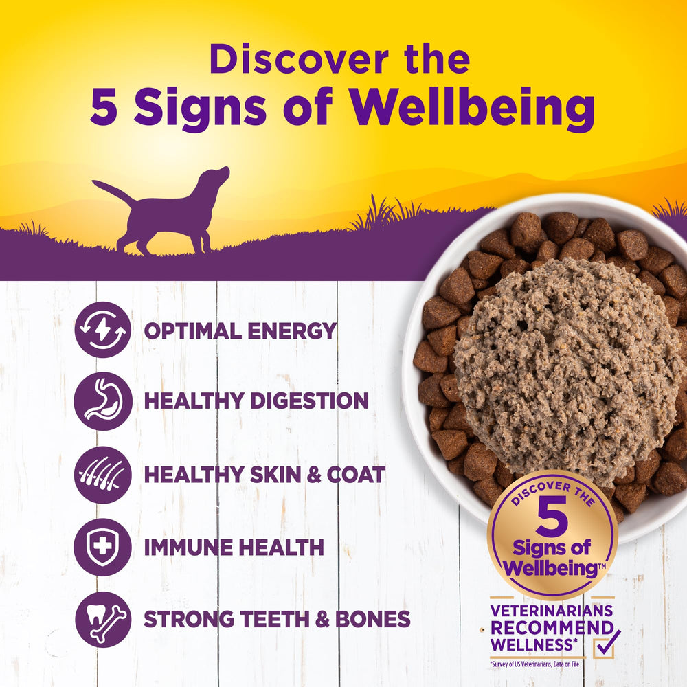 Wellness Complete Health: textura paté suave para perros que prefieren comida suave.