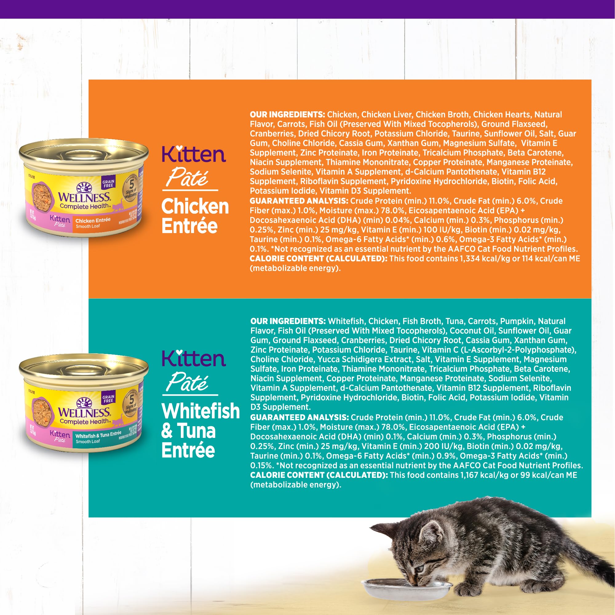 Wellness Complete Health Pate Kitten comida húmeda: hidratación y sabor para gatitos