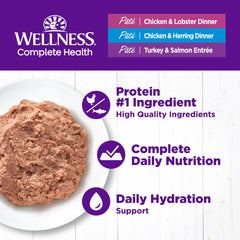 Wellness Complete Health Pate pack de 24 latas, variedad marina para gatos adultos.