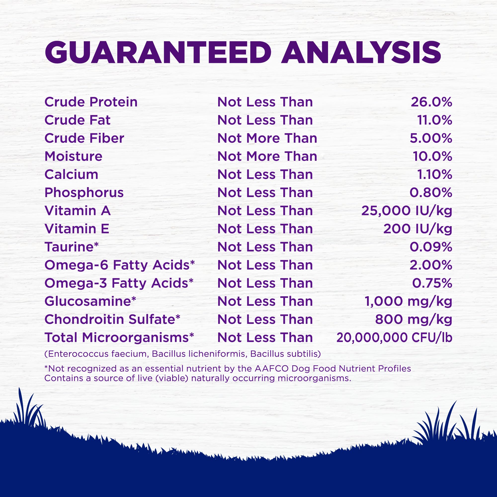 Wellness Complete Health perro comiendo kibble en cuenco