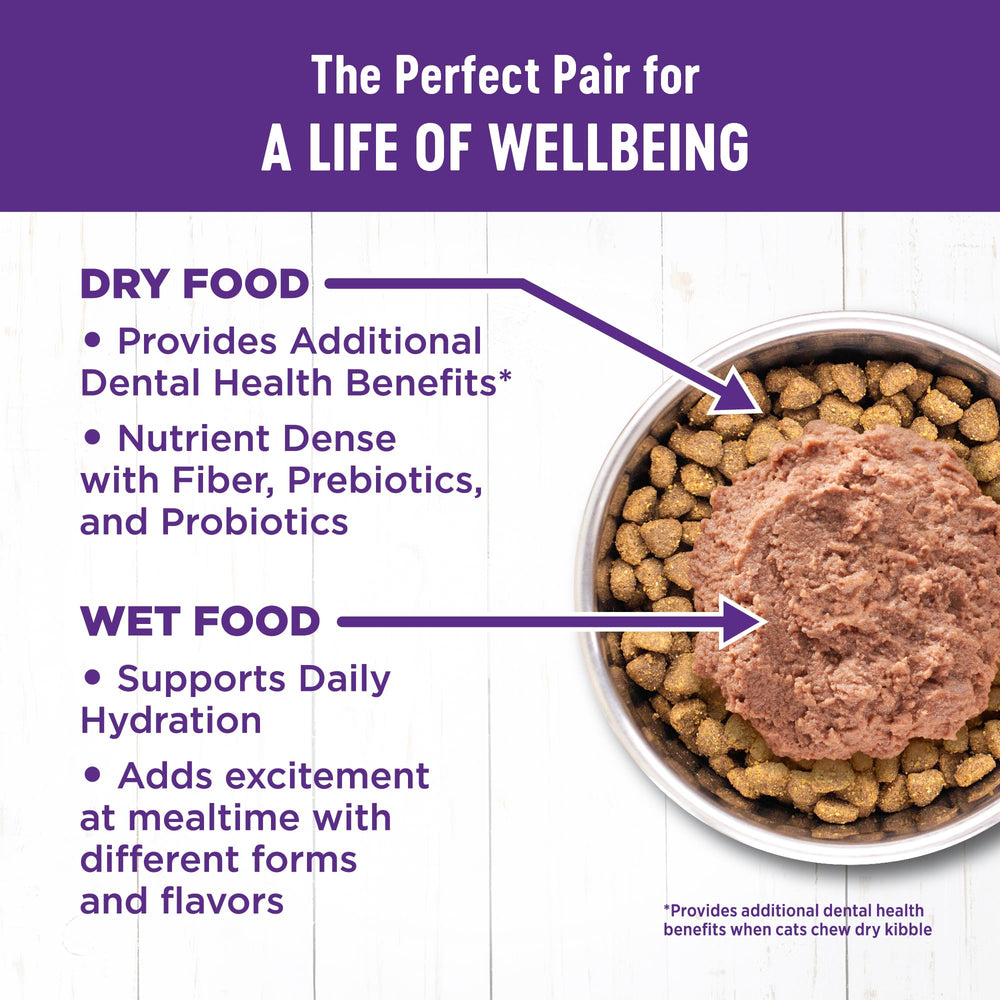 Wellness Complete Health piel y pelaje brillantes gracias a su fórmula natural.