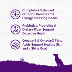 Salud digestiva y pelaje sano gracias a antioxidantes y omega en Wellness.