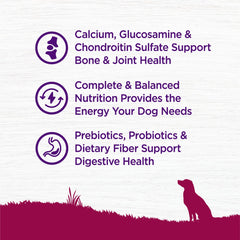 Comida Wellness Complete Health sin maíz para perros senior.