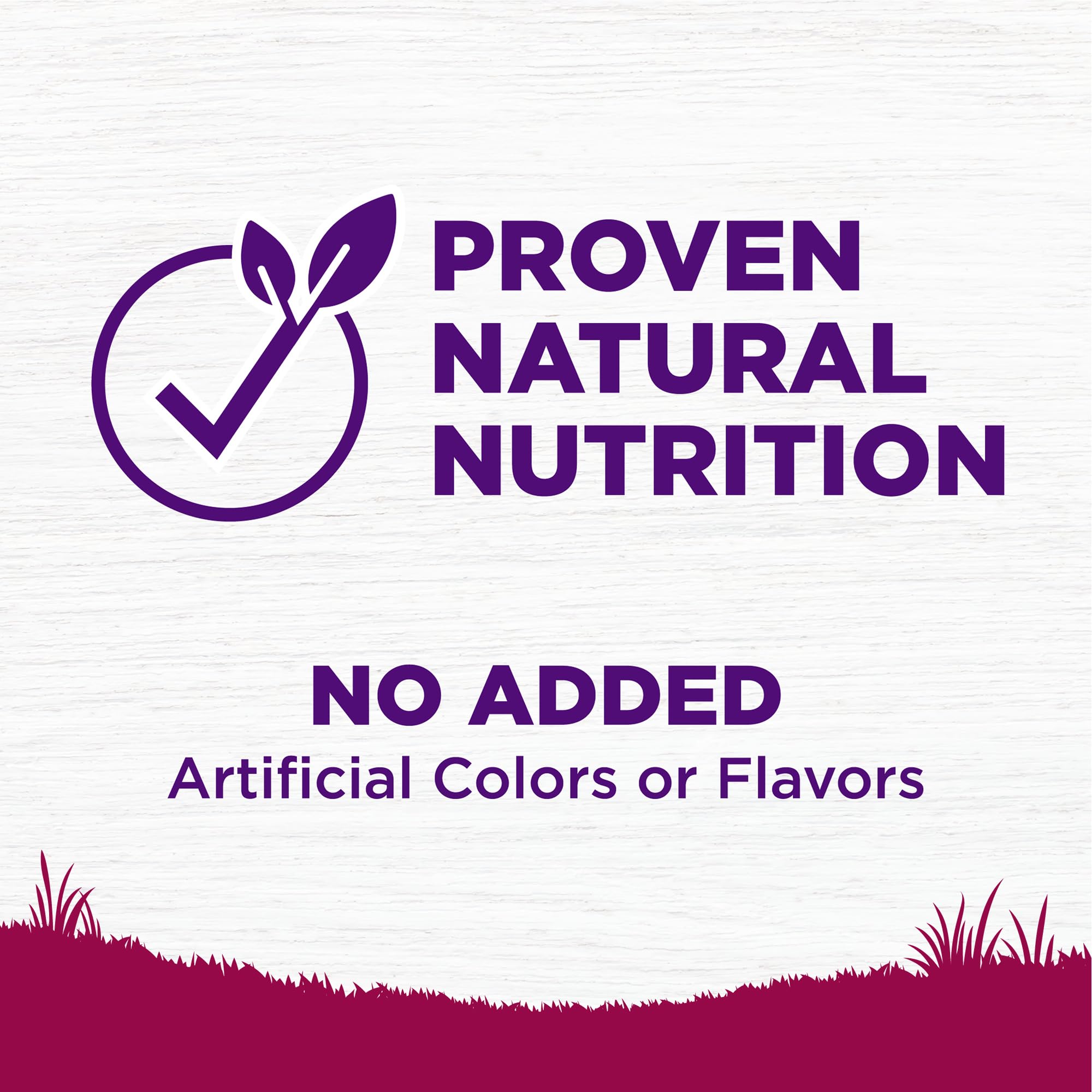 Comida Wellness Complete Health sin trigo para perros senior.