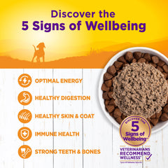 Wellness cachorros, textura pate suave para facilitar la ingestión.
