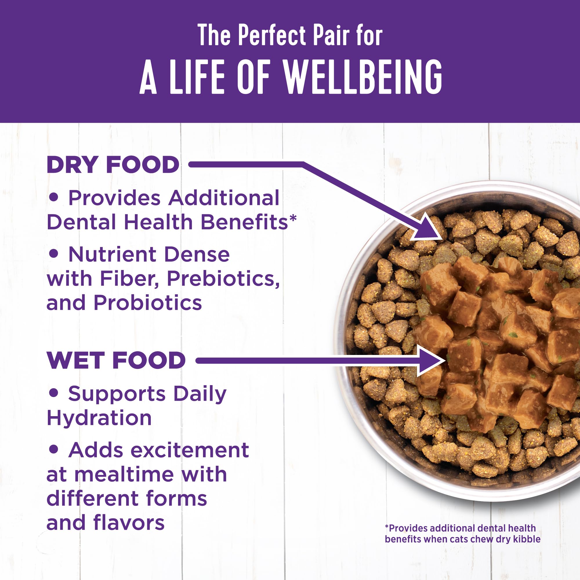Wellness conserva para gato sin granos: porciones sabrosas con proteína