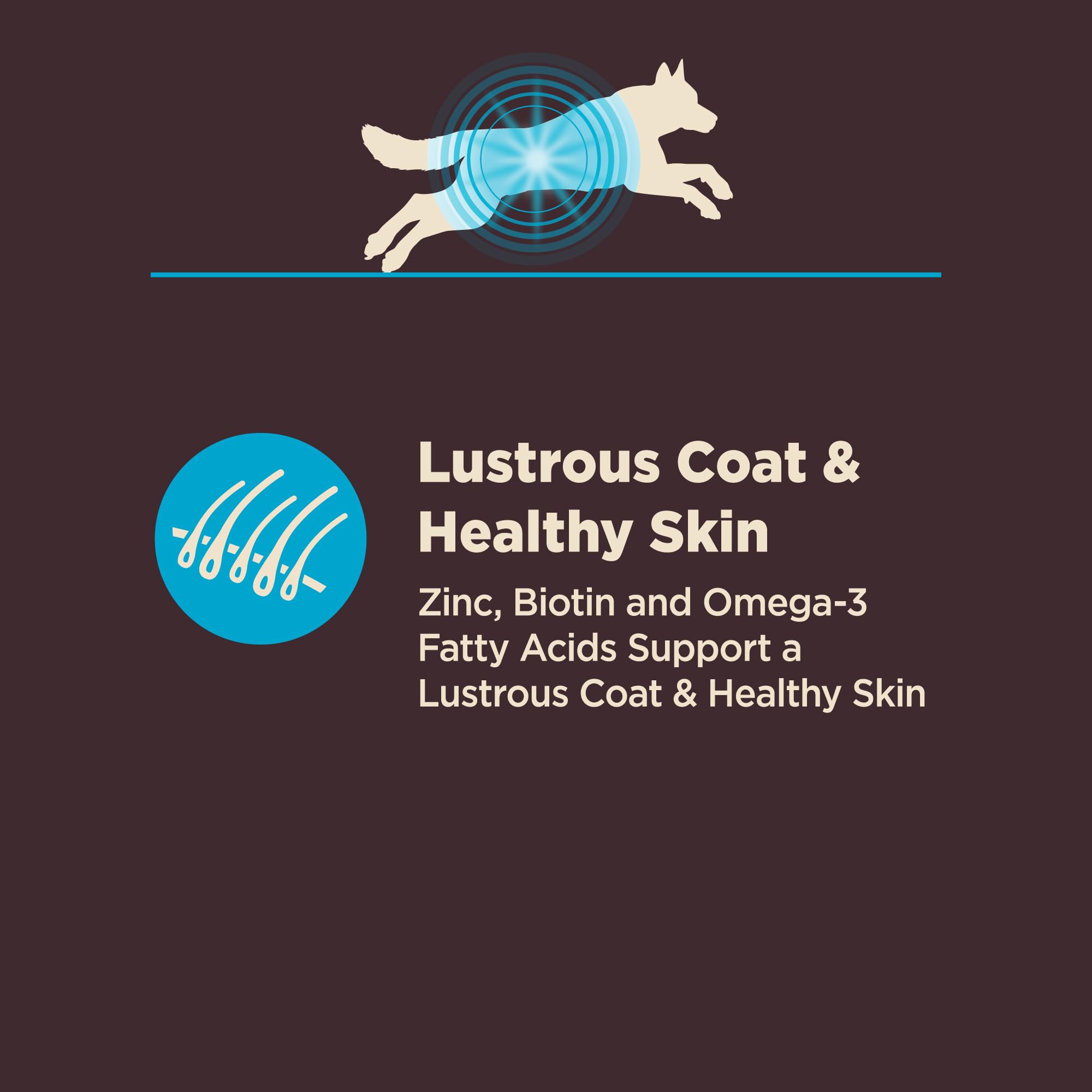 Wellness CORE Probióticos garantizados para la salud intestinal