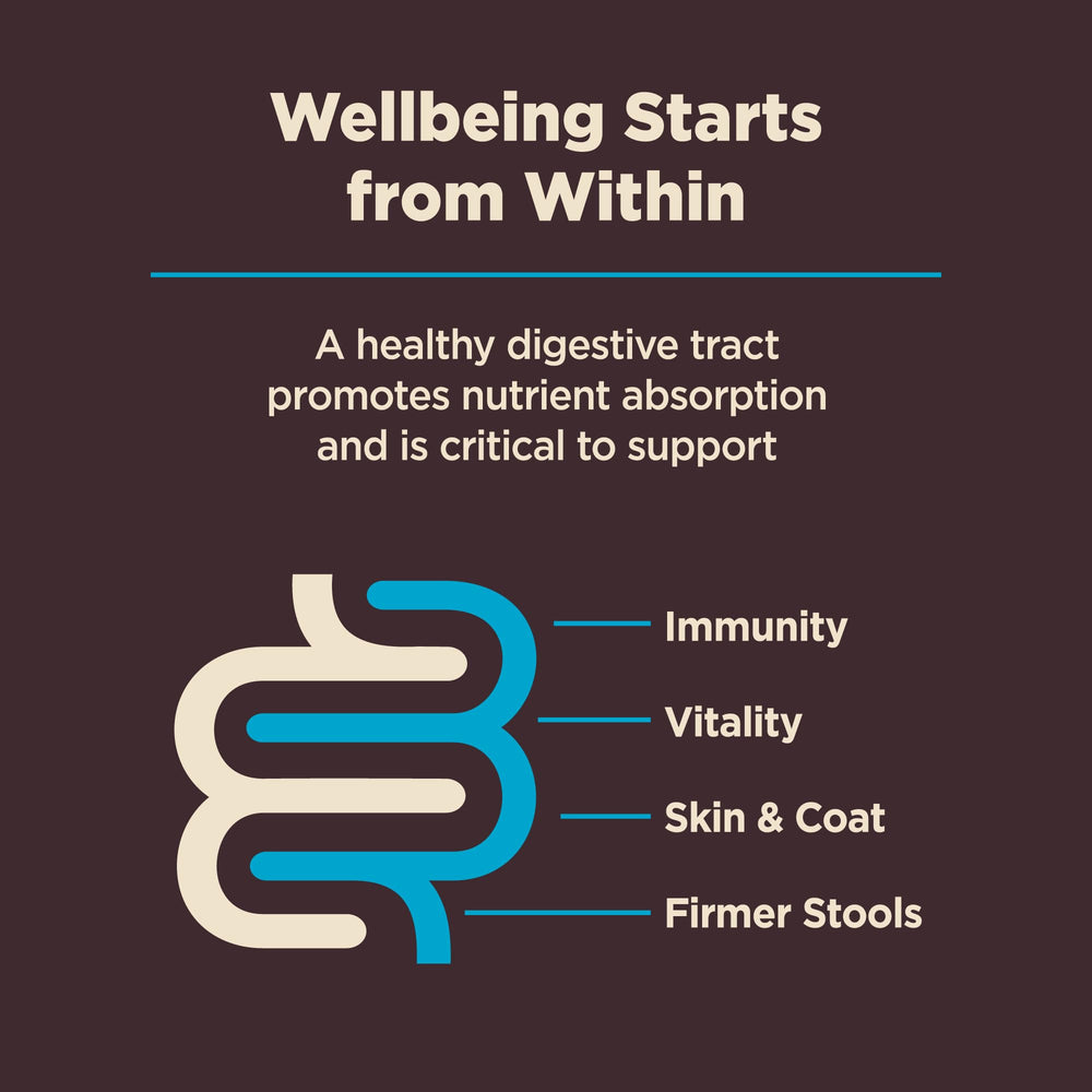 Wellness CORE Proteína de pescado blanco de alta calidad