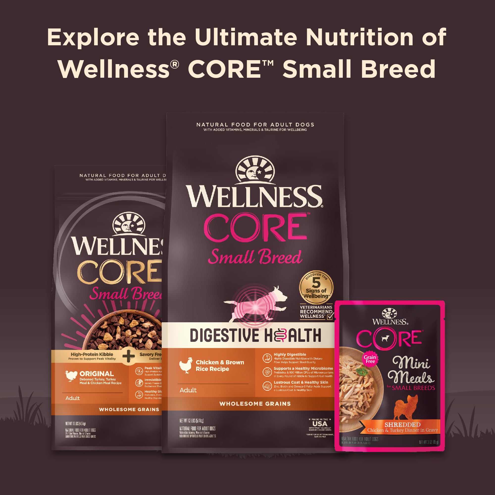 Wellness CORE, antioxidantes para apoyar la inmunidad del perro.