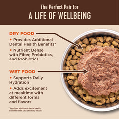 Wellness CORE+ Alimento seco para gatos, favorece digestión saludable y movimiento de pelos.