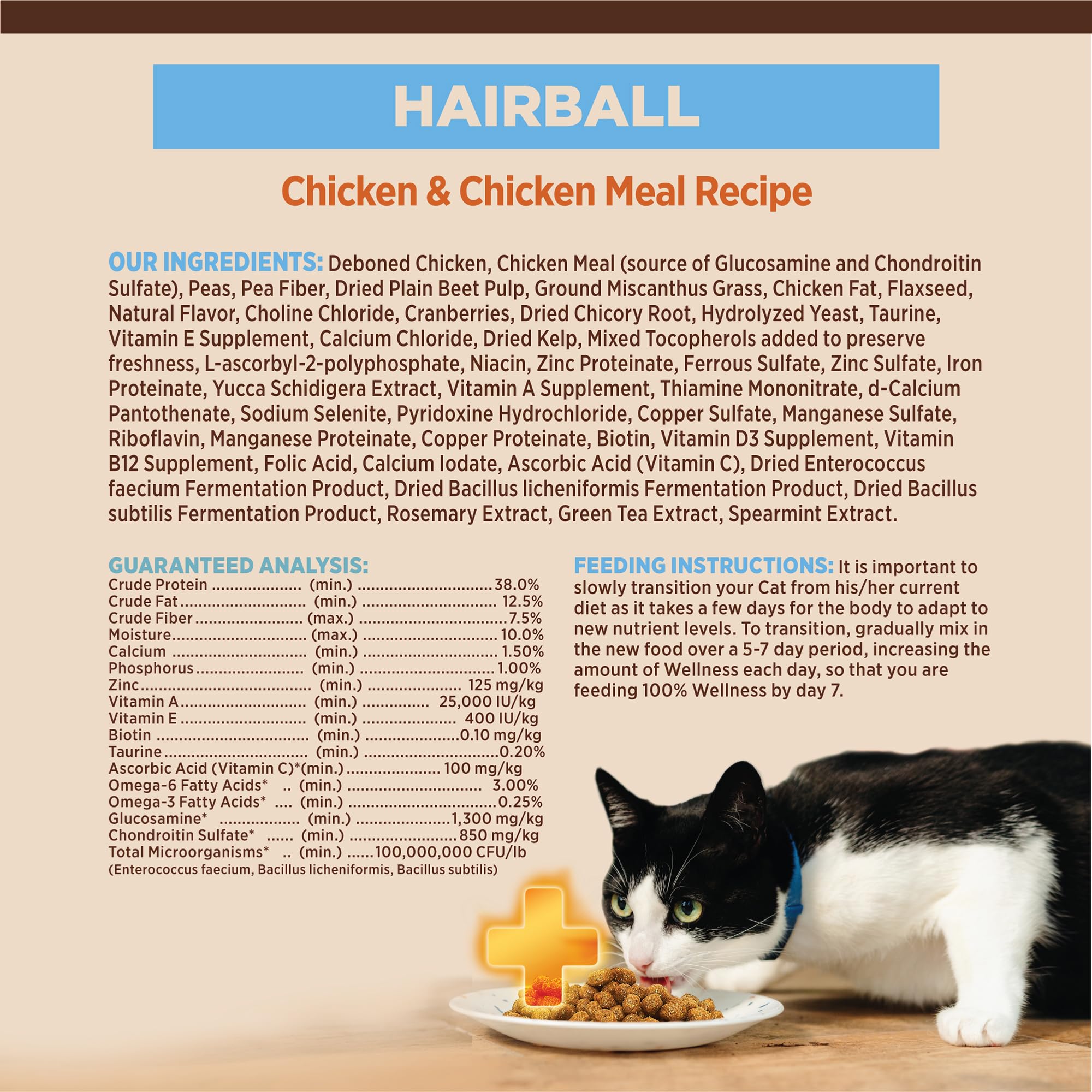 Wellness CORE+ Alimento seco para gatos, ingredientes naturales visibles.