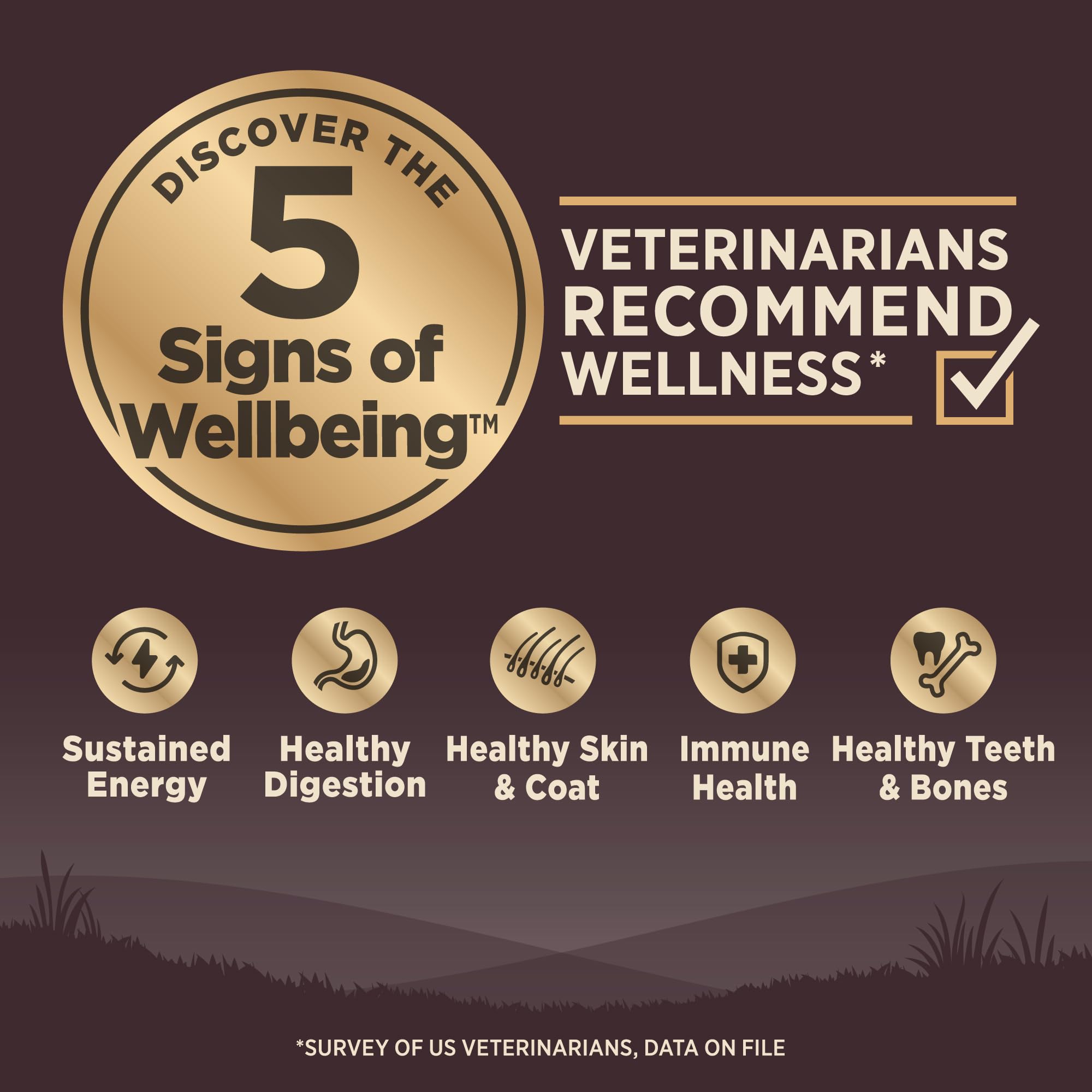Wellness Core: porciones pequeñas para cachorros de razas pequeñas y fácil de comer.