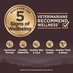 Wellness CORE: croquetas para cachorros pequeños, masticación suave y tamaño adecuado.