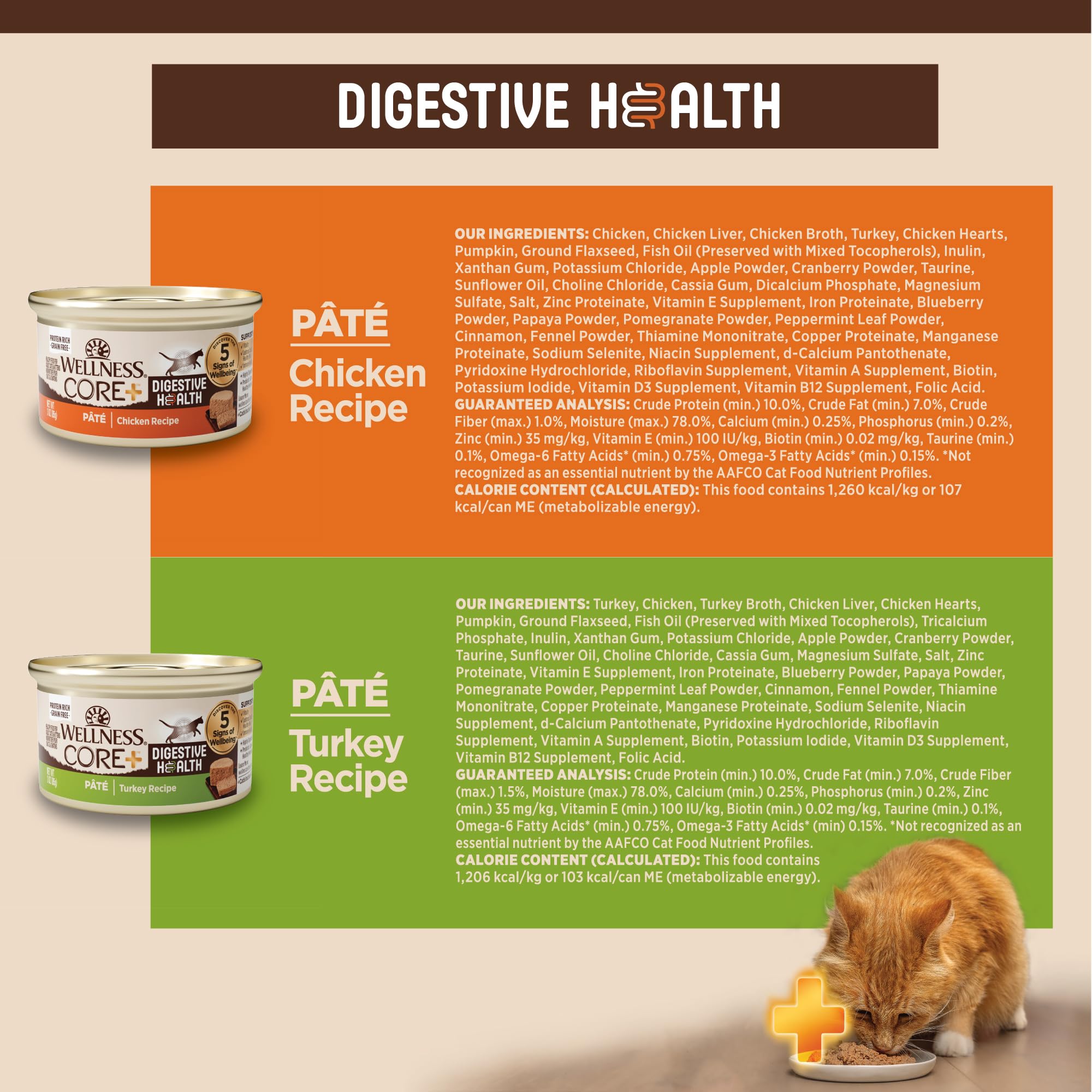 Bienestar felino con hidratación diaria, paté Wellness CORE Digestive Health.