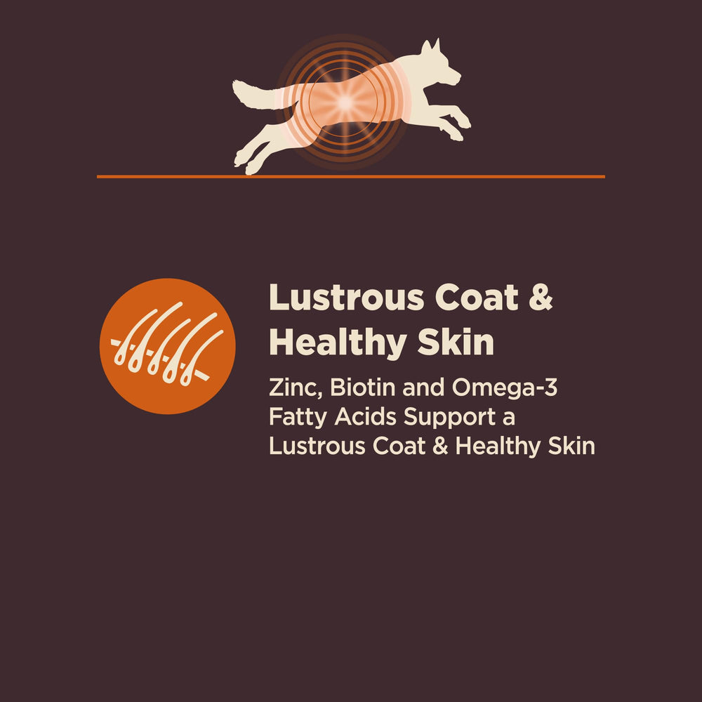 Wellness CORE Digestive Health: proteína de pollo de alta calidad para nutrición.