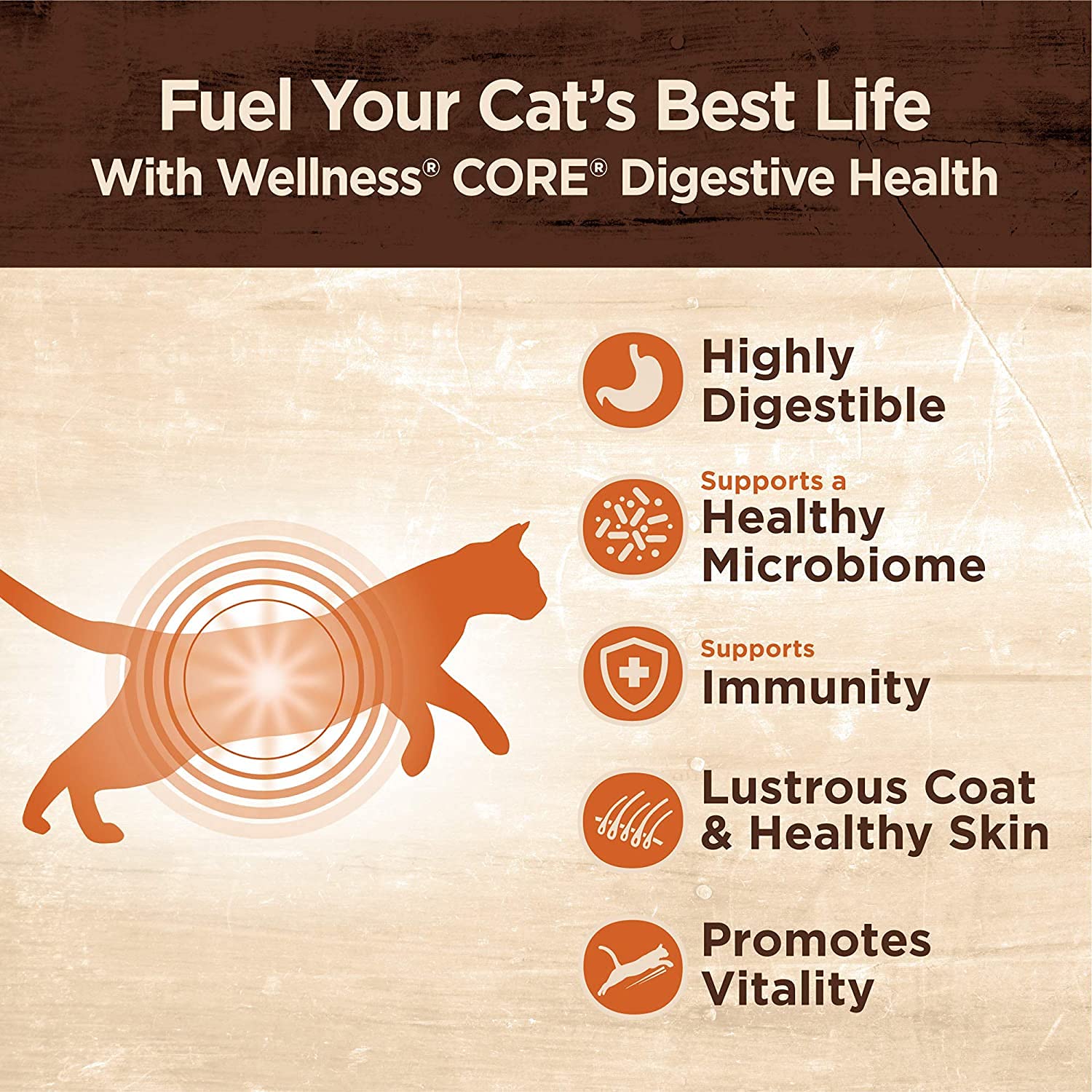 Wellness Core Digestive Pate: lata de 3 oz sabor Pollo con Res, proteína premium.