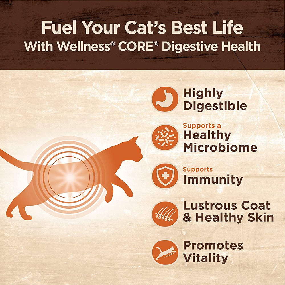Wellness Core Digestive Pate: lata de 3 oz sabor Pollo con Res, proteína premium.