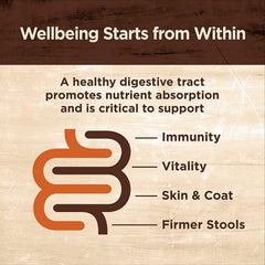 Wellness Core Digestive Pate: lata de 3 oz sabor Salmón y Pavo, nutrición equilibrada.