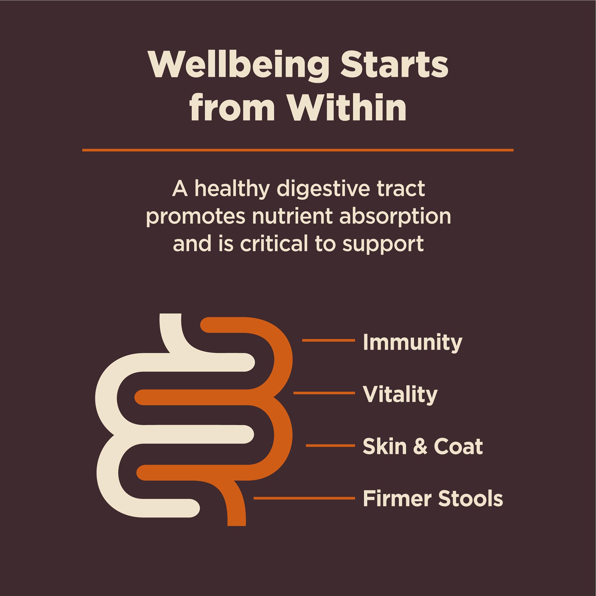Wellness CORE Digestive Health fabricado en Estados Unidos con ingredientes seleccionados