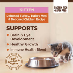 Wellness CORE gato juvenil: ingredientes de pavo y pollo para proteína de calidad