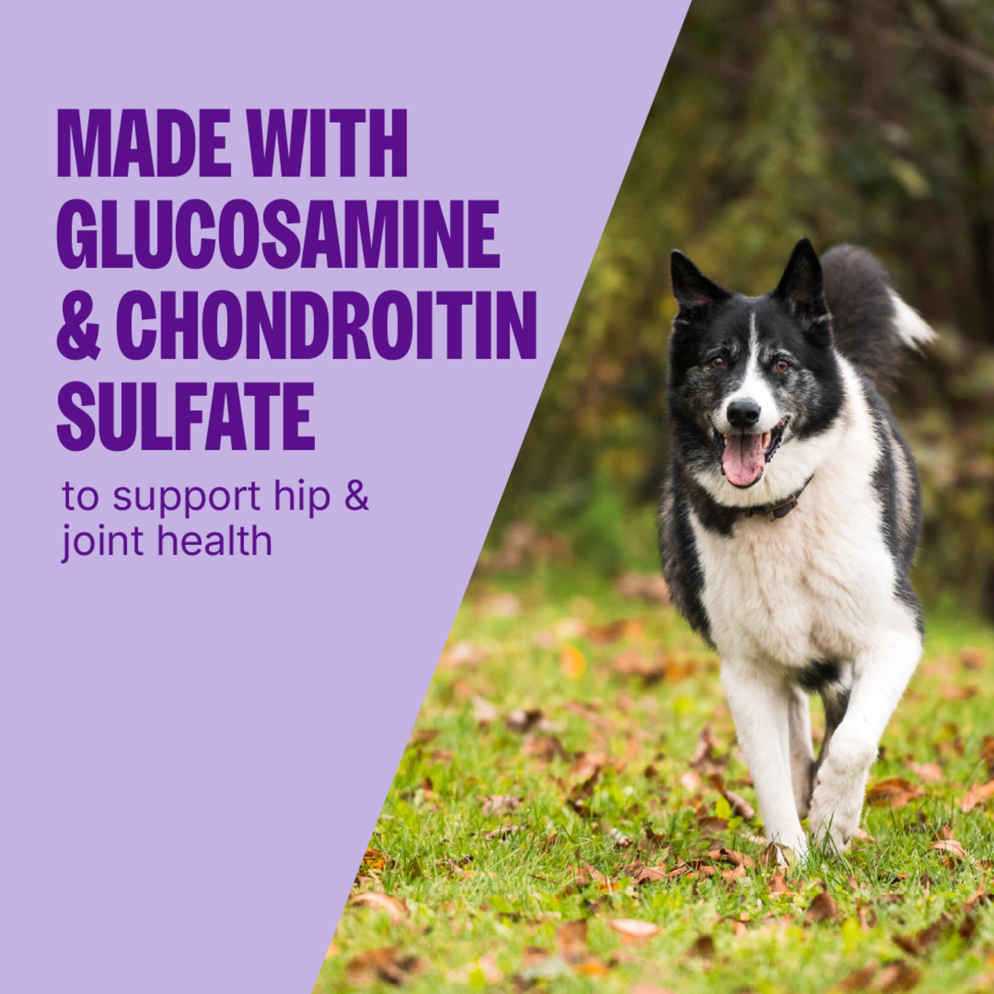 Golosinas Wellness CORE crujientes, ideal para entrenar perros sin granos.