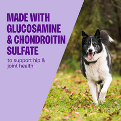 Golosinas Wellness CORE crujientes, ideal para entrenar perros sin granos.