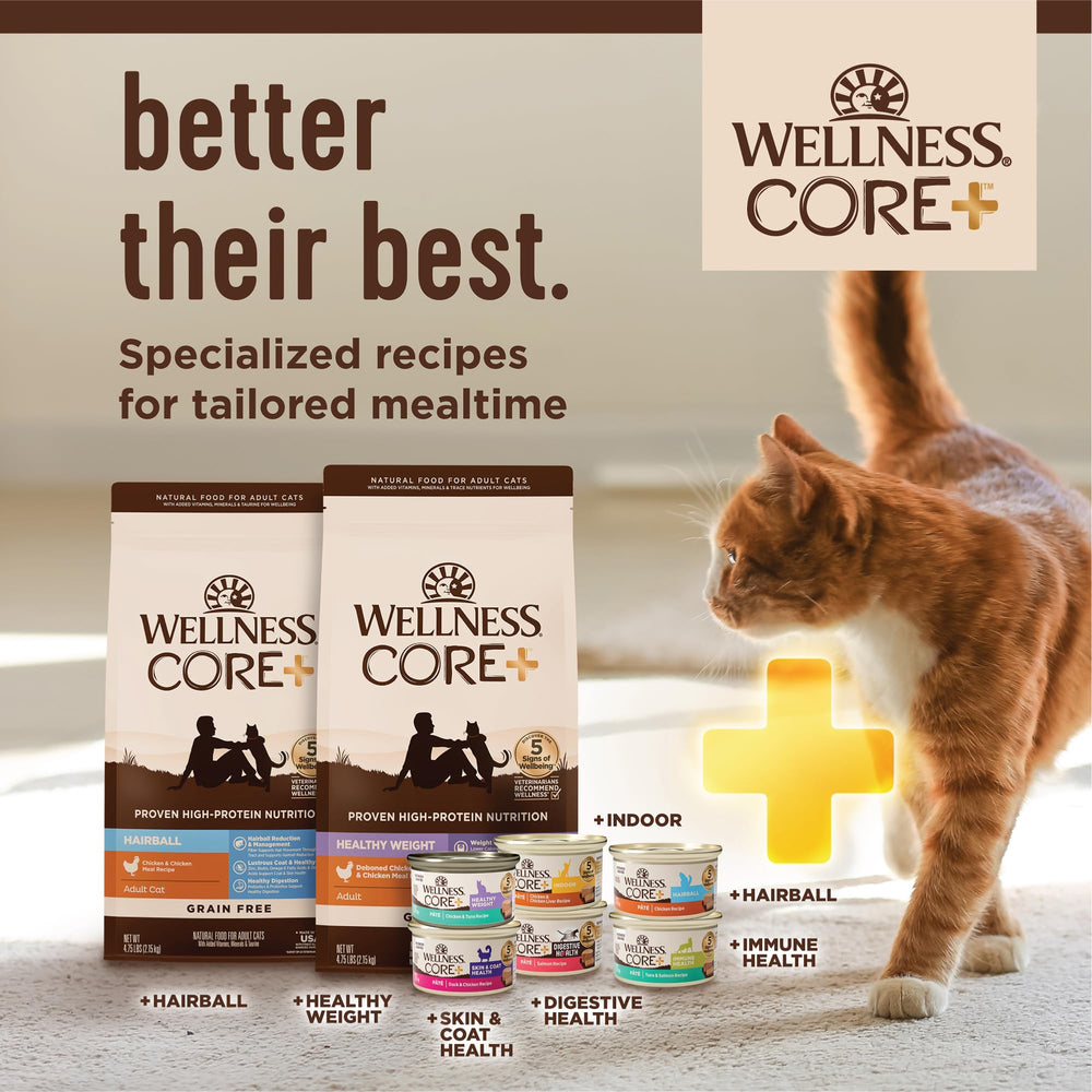 Wellness CORE+ Hairball paté, paté de pollo con biotina para piel sana