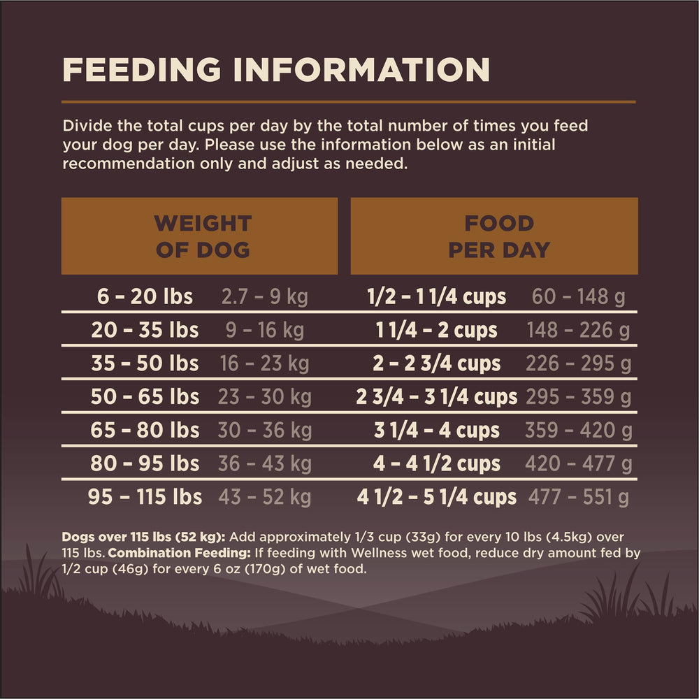 Wellness CORE hecho en Estados Unidos, ingredientes de alta calidad.