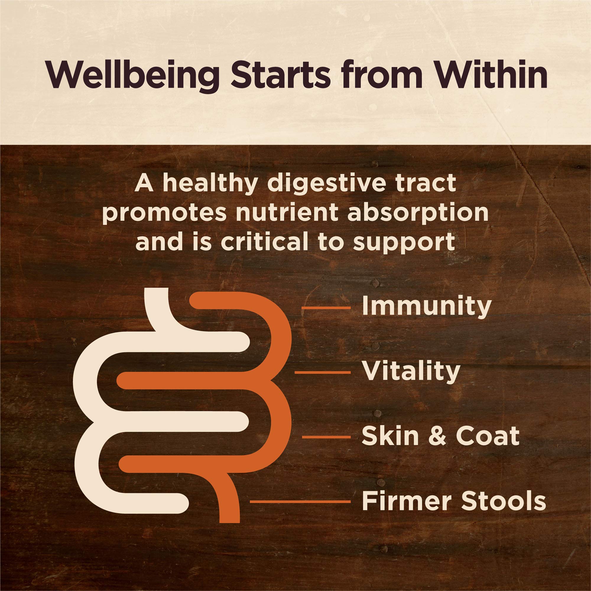 Wellness CORE Digestive Health Senior, granos integrales para digestión estable