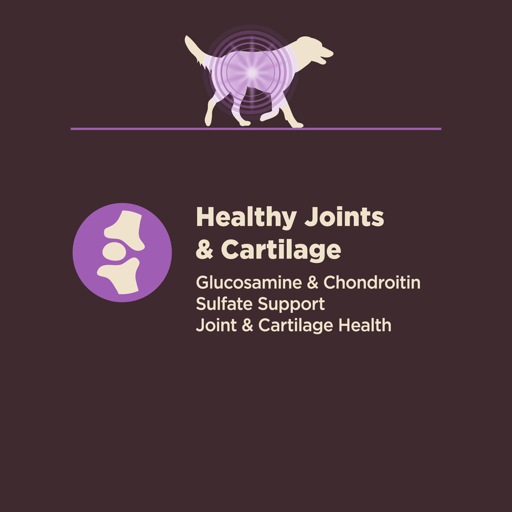 Wellness CORE Digestive Health Senior, antioxidantes y omega para piel sana