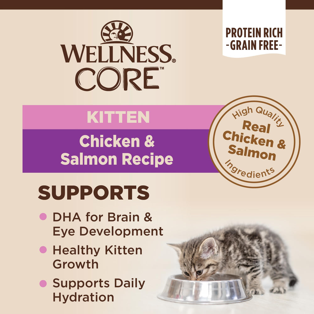 Wellness CORE Pate Gatito Salmón en cuenco, sabor natural equilibrado