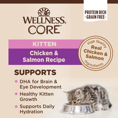 Wellness CORE Pate Gatito Salmón en cuenco, sabor natural equilibrado