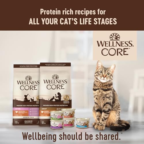 Wellness CORE Pate Gatito: formato en lata para bienestar diario