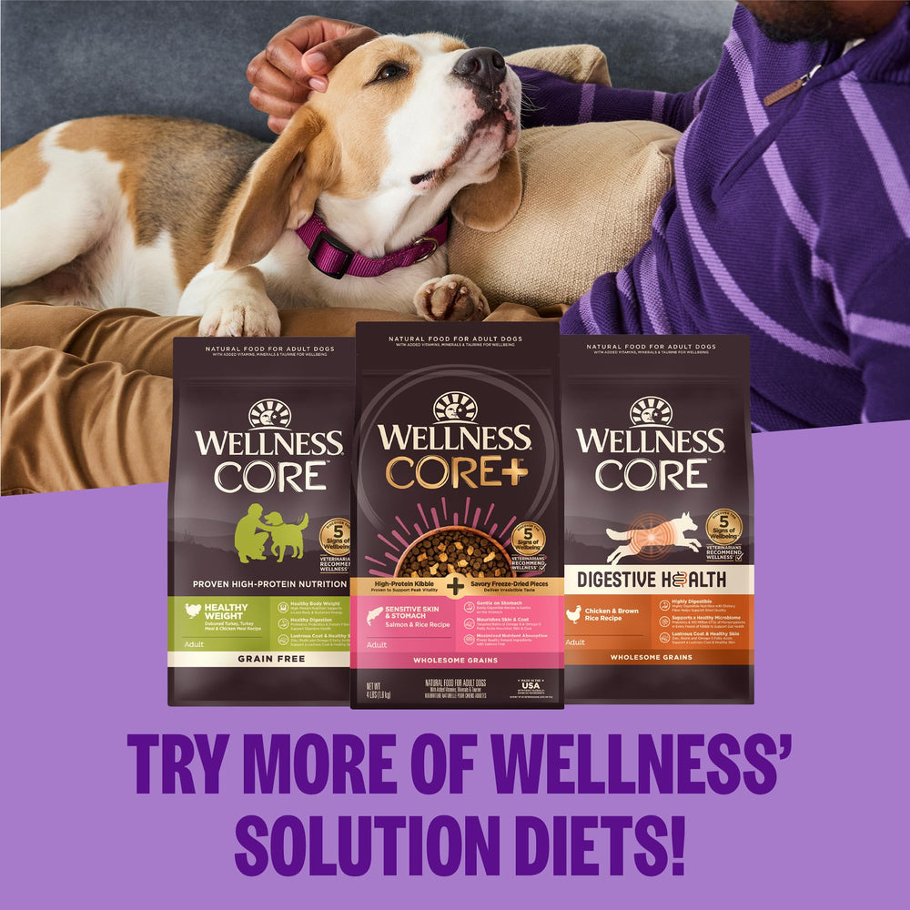 Wellness CORE+ bolsa de 18 libras lista para perros de casa
