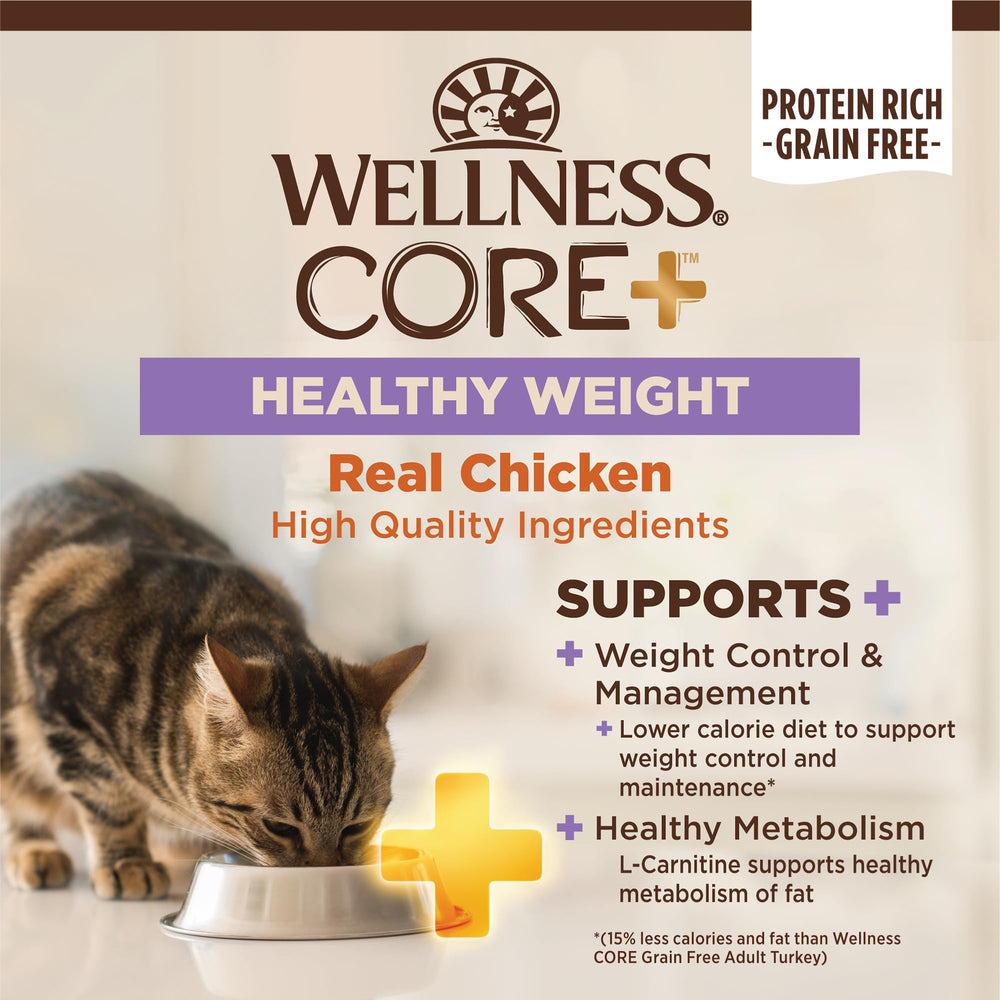 Bolsa Wellness CORE+ 4,75 lb, fácil de almacenar para alimentar a tu gato