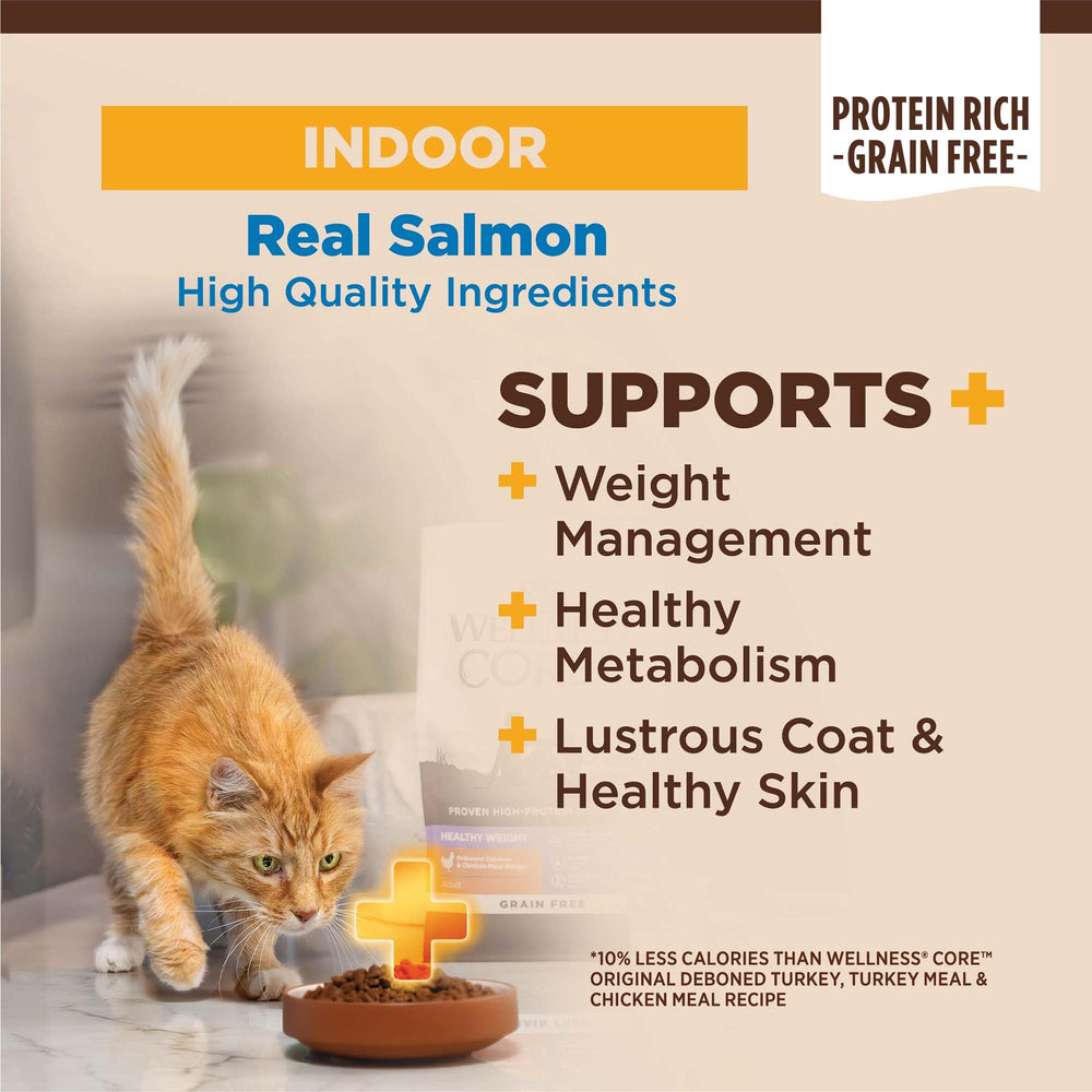 Wellness CORE+ Bolsa de 5 libras para gatos de interiores con salmón