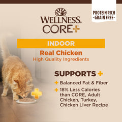 Wellness CORE+ Indoor Pate: textura paté suave para comer con facilidad.
