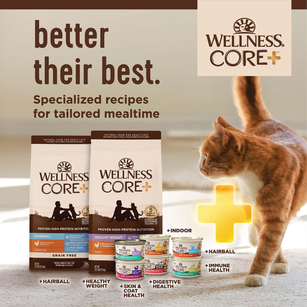 Ingredientes naturales de Wellness CORE+, nutrición equilibrada para pelaje.