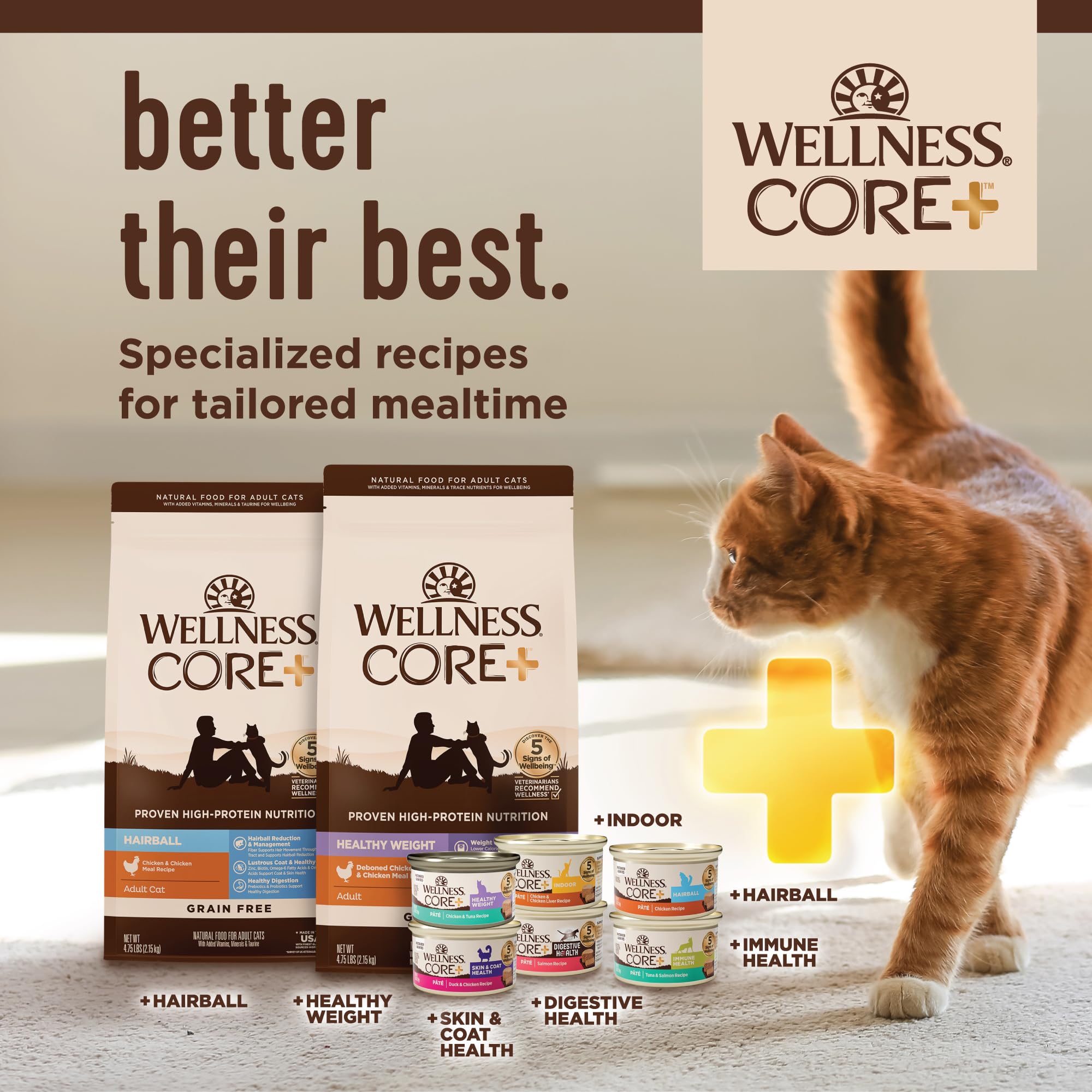Wellness CORE+ Pate Digestiva, textura húmeda para hidratación diaria