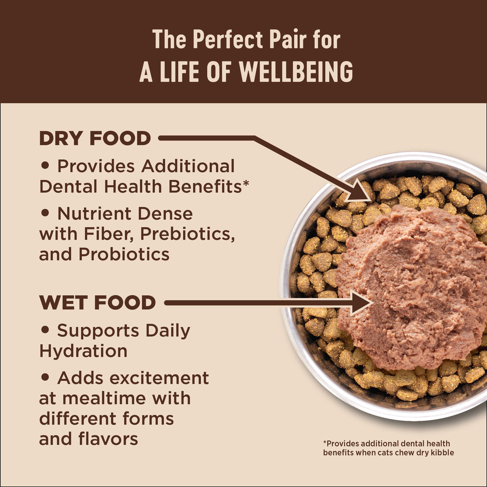 Wellness CORE+ Paté Digestivo, envase reciclable y fácil de almacenar.