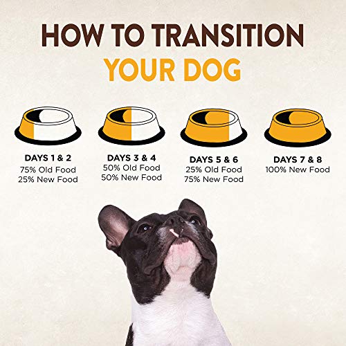 Wellness CORE+ receta pollo y pavo para cachorros activos