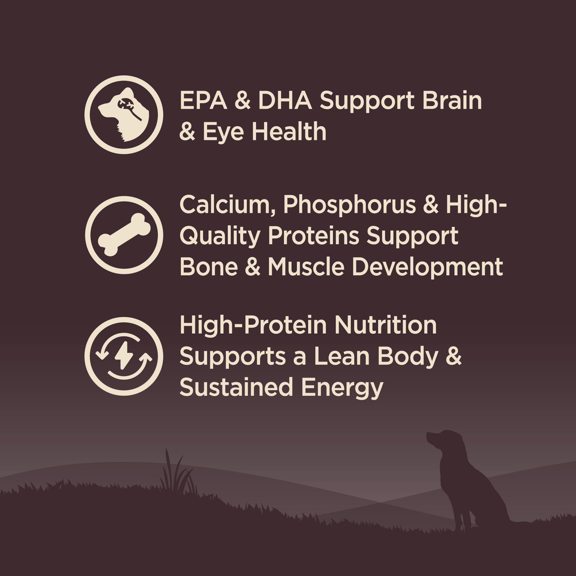 Wellness Core probióticos y antioxidantes para digestión y sistema inmune.
