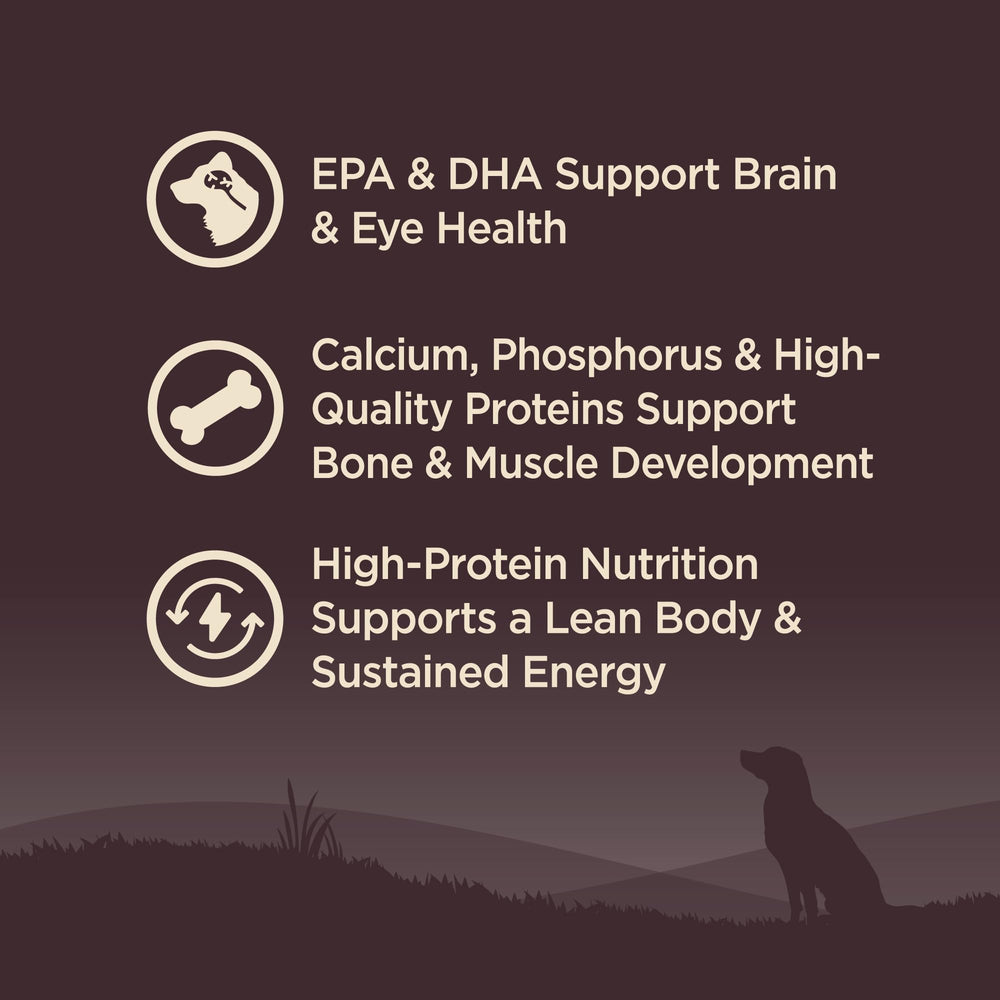 Wellness Core probióticos y antioxidantes para digestión y sistema inmune.