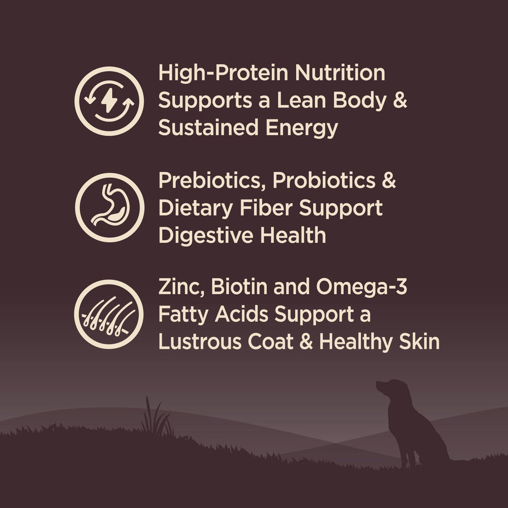 Probioticos y glucosamina en Wellness Core para digestión y articulaciones