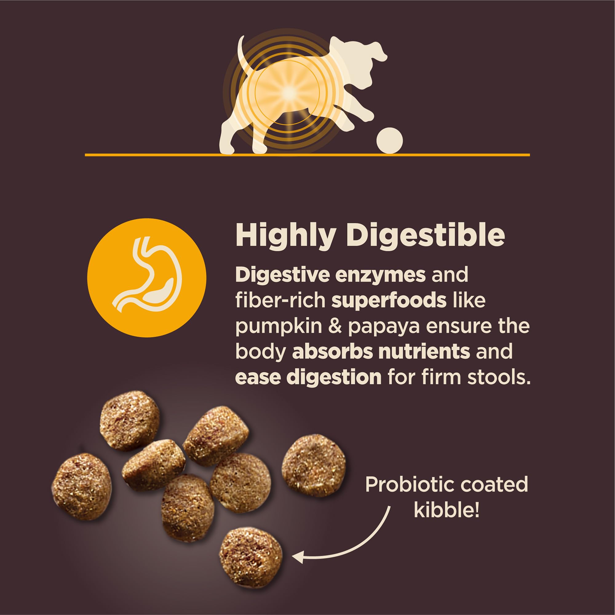Wellness CORE Salud Digestiva: DHA/EPA, desarrollo cerebral y crecimiento óseo en cachorros.