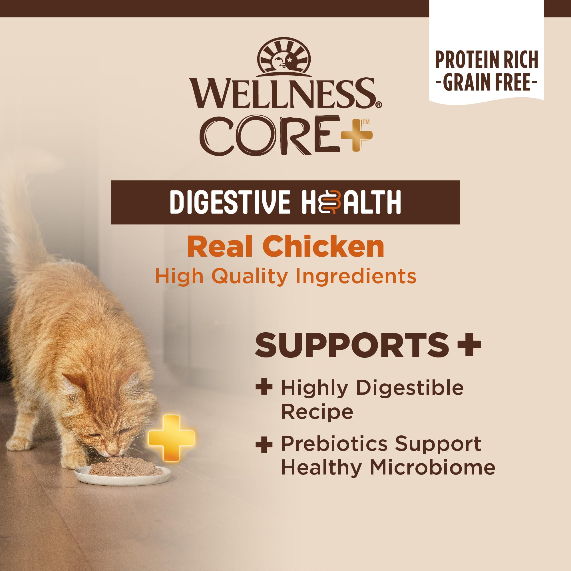 Wellness CORE+ Pate sin grano para gatos, pollo, apoyo digestivo natural.