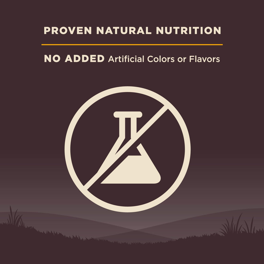 Wellness CORE: sin granos, opción de dieta basada en proteína animal.