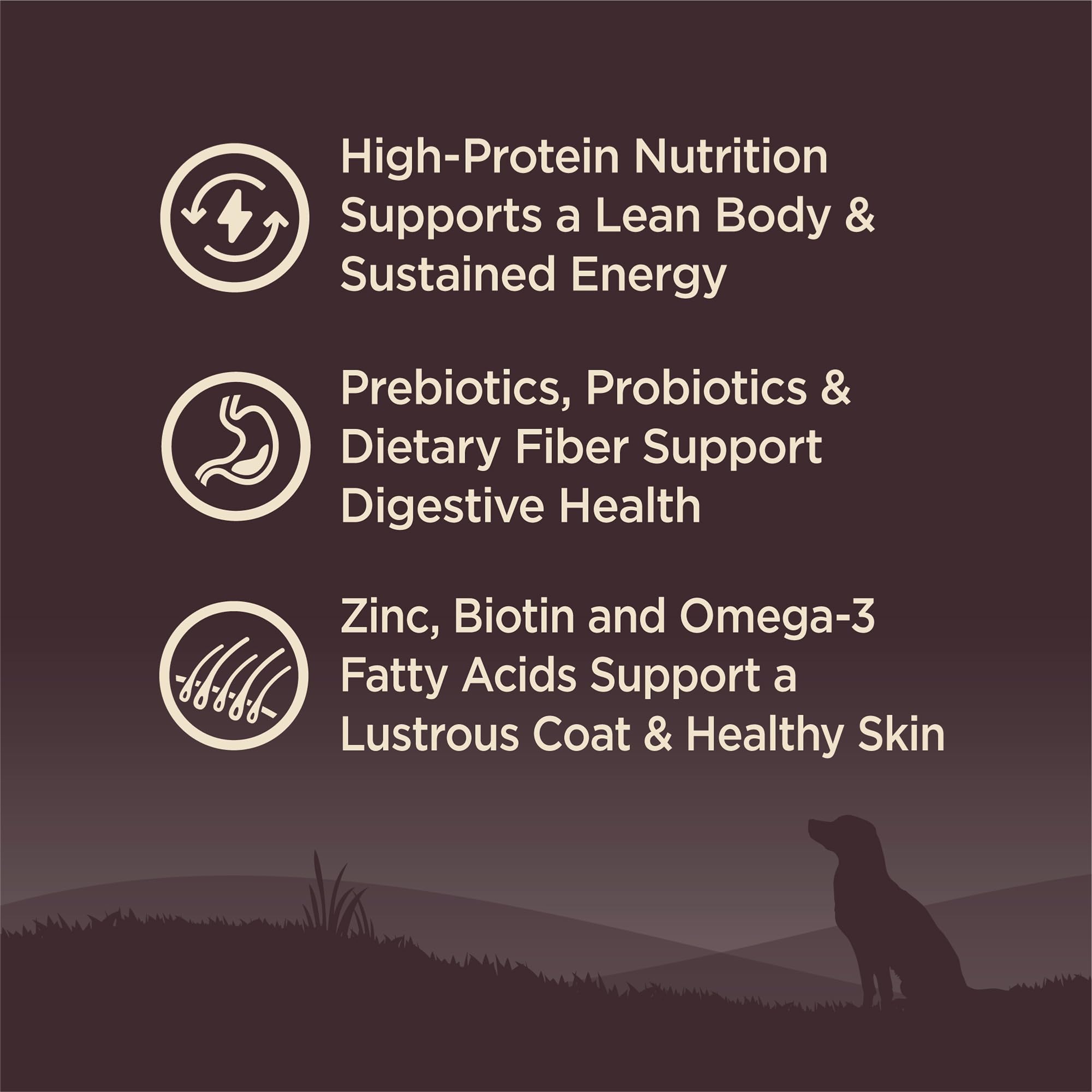 Fórmula sin maíz, trigo ni soja en Wellness Core.