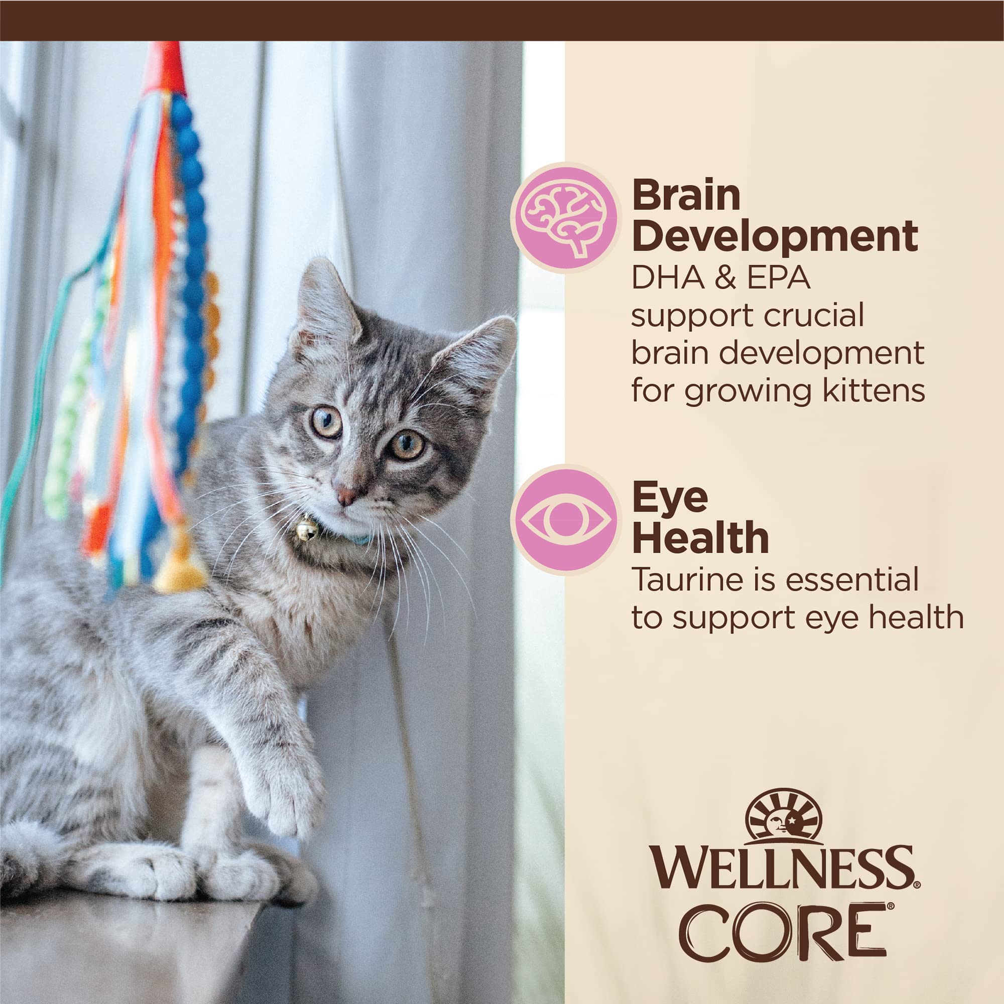 Wellness CORE Tiny Tasters Kitten - hidratación diaria gracias a la comida húmeda.